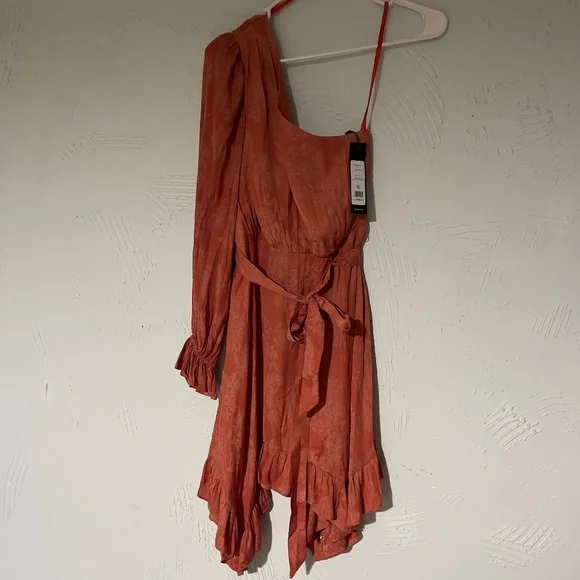 BCBG Max Azria One Shoulder Frilly Ginger Dress - Picture 1 of 4